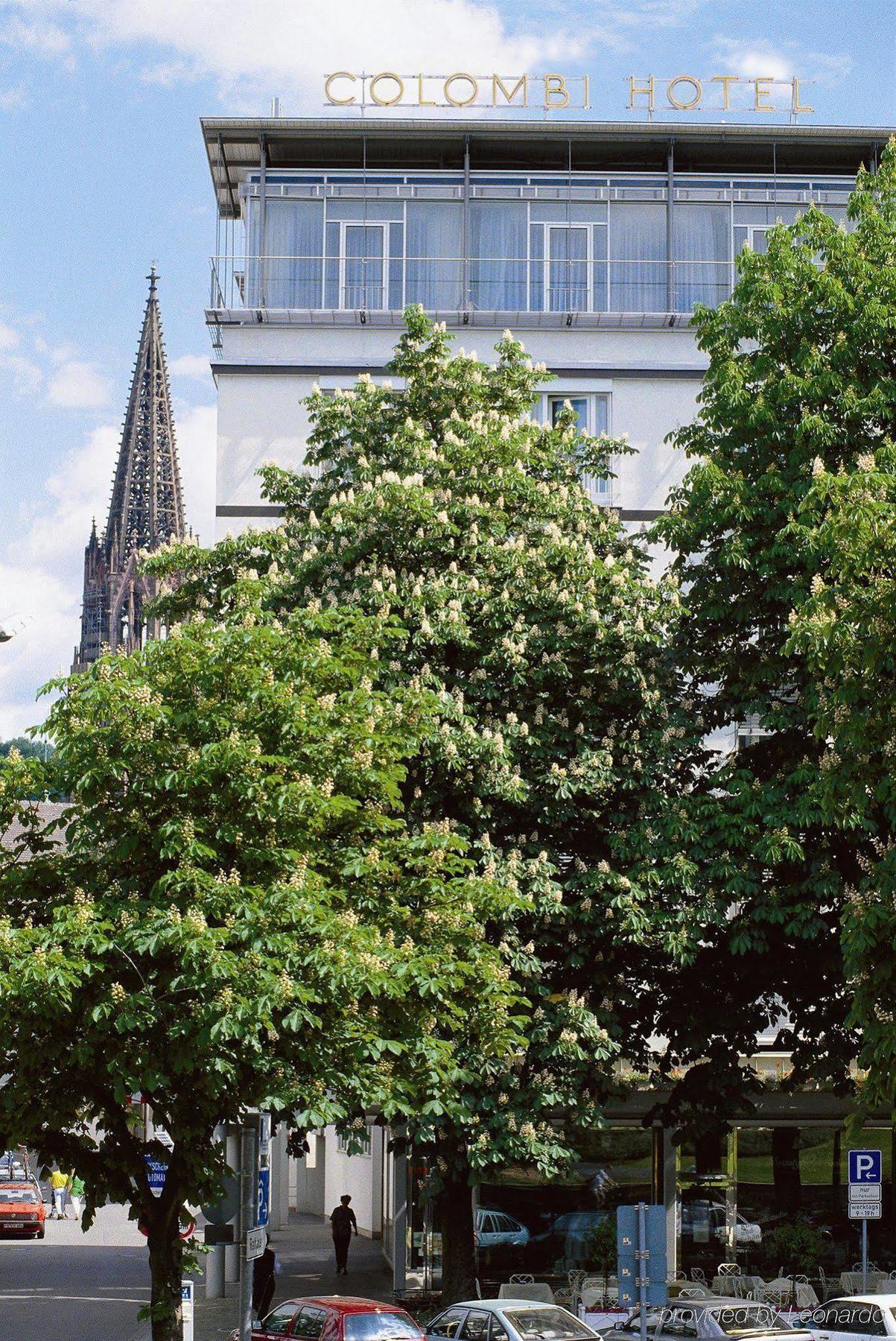 Colombi Hotel Freiburg im Breisgau Dış mekan fotoğraf The tree in 2011